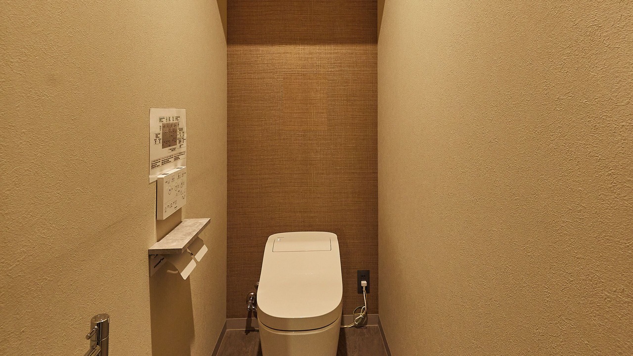 Photo of Bathroom in Fukushima