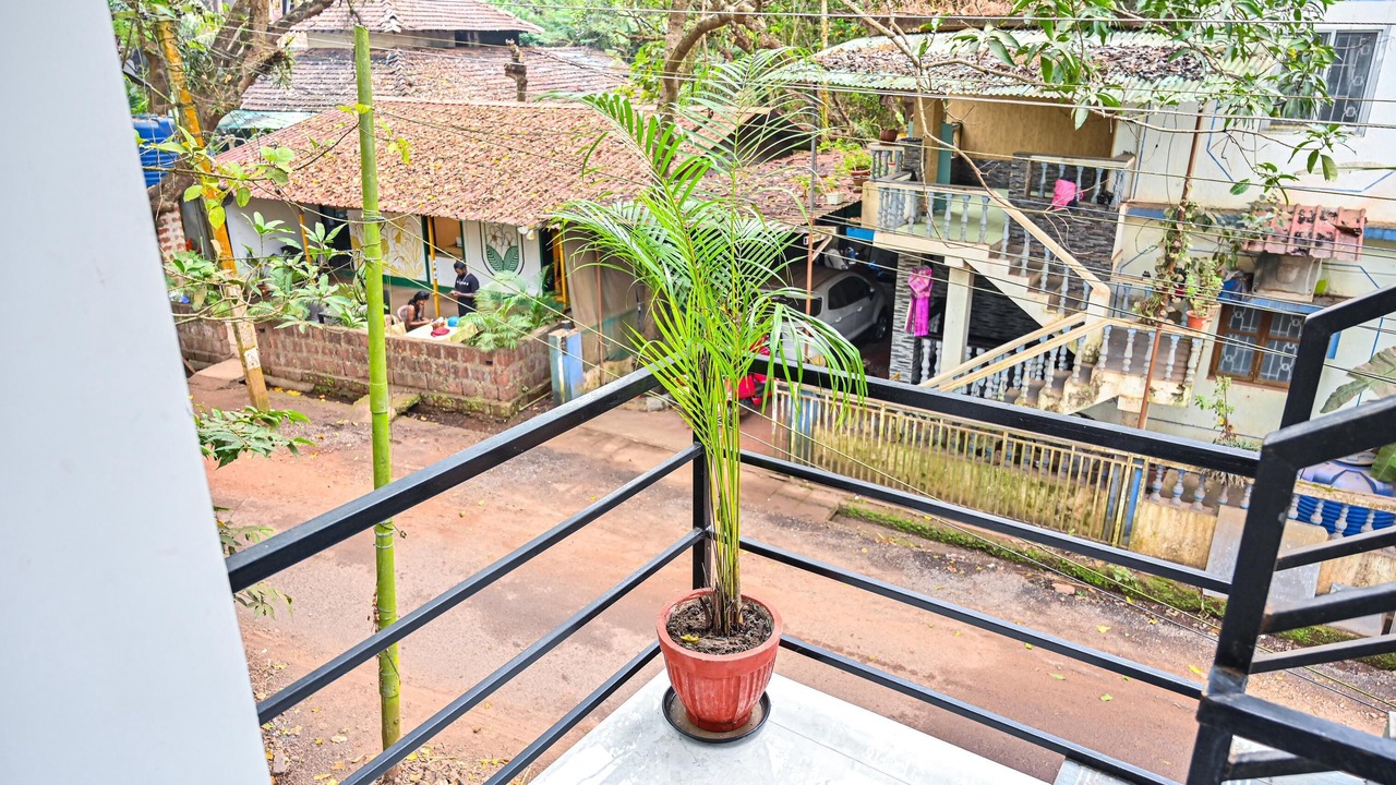 Photo of Outdoor in Arambol
