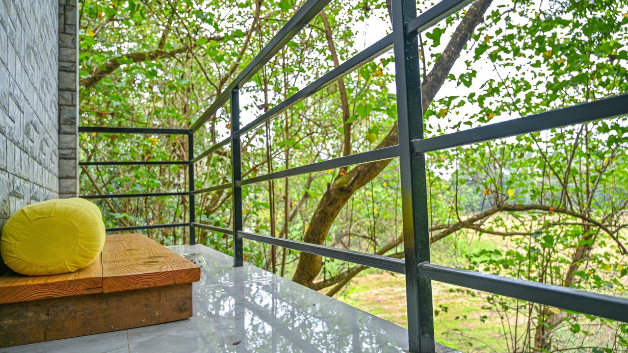 Photo of Outdoor in Arambol