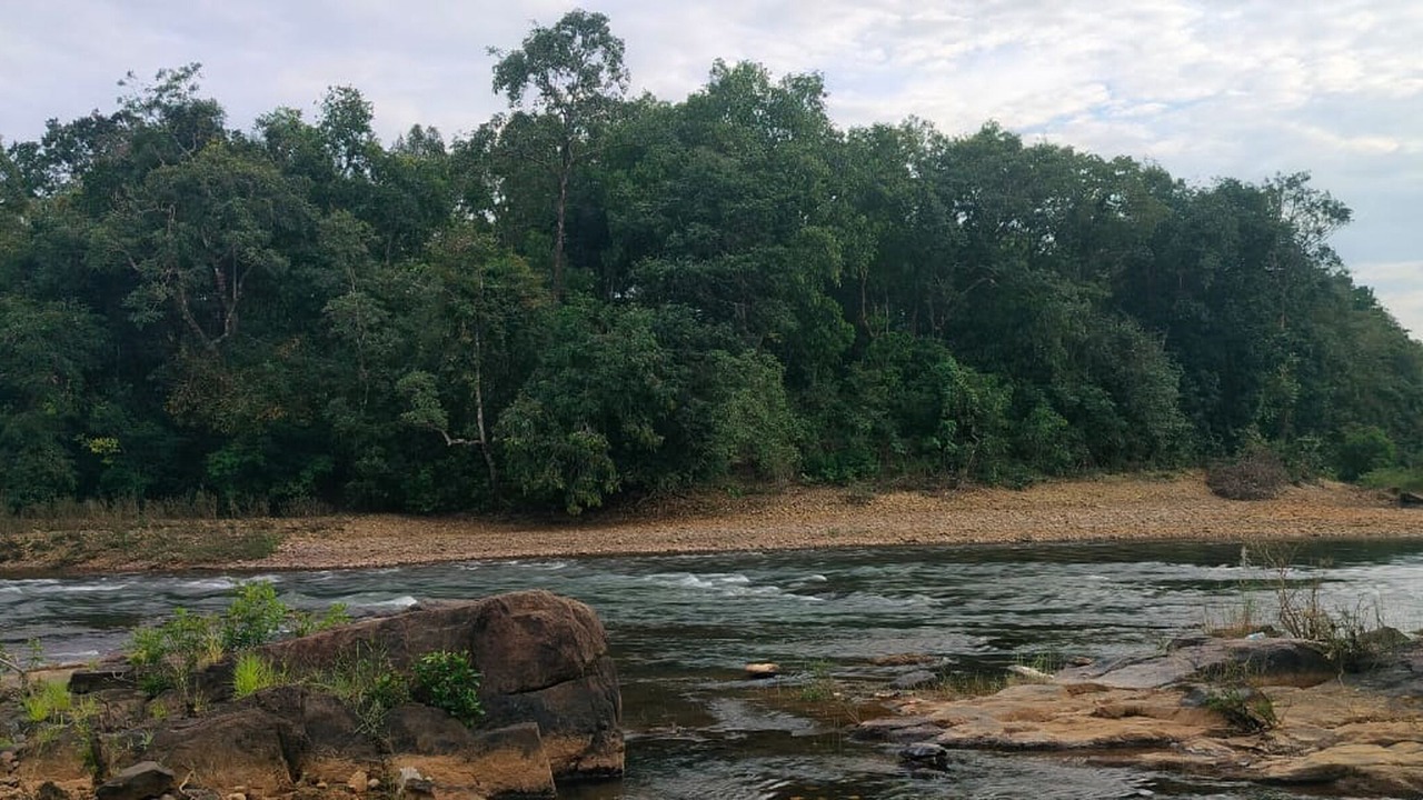 Photo of Others in Thalassery