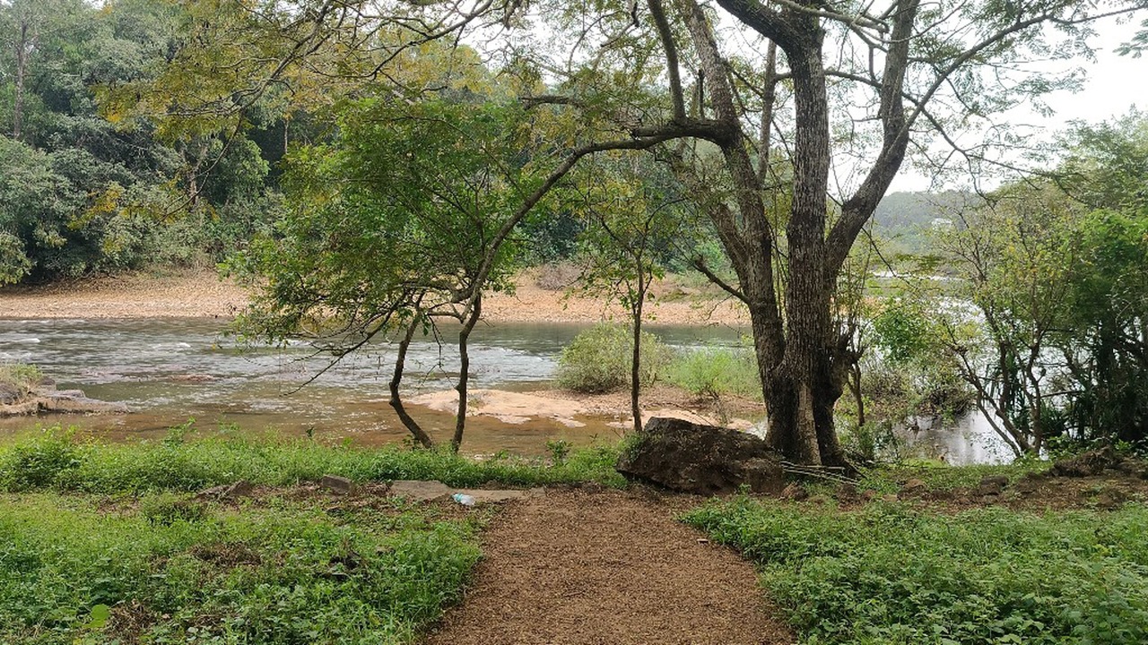 Photo of Others in Thalassery