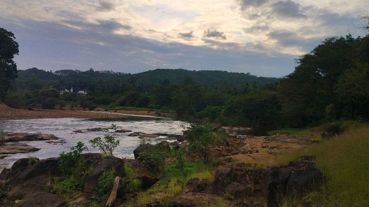Photo of Others in Thalassery