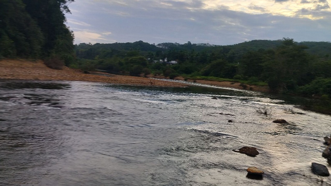 Photo of Others in Thalassery