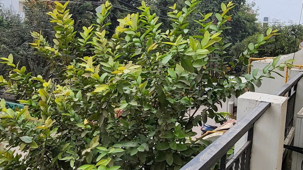 Photo of Outdoor in Allahabad