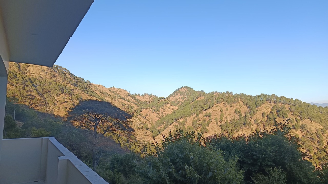 Photo of Outdoor in Majkhali