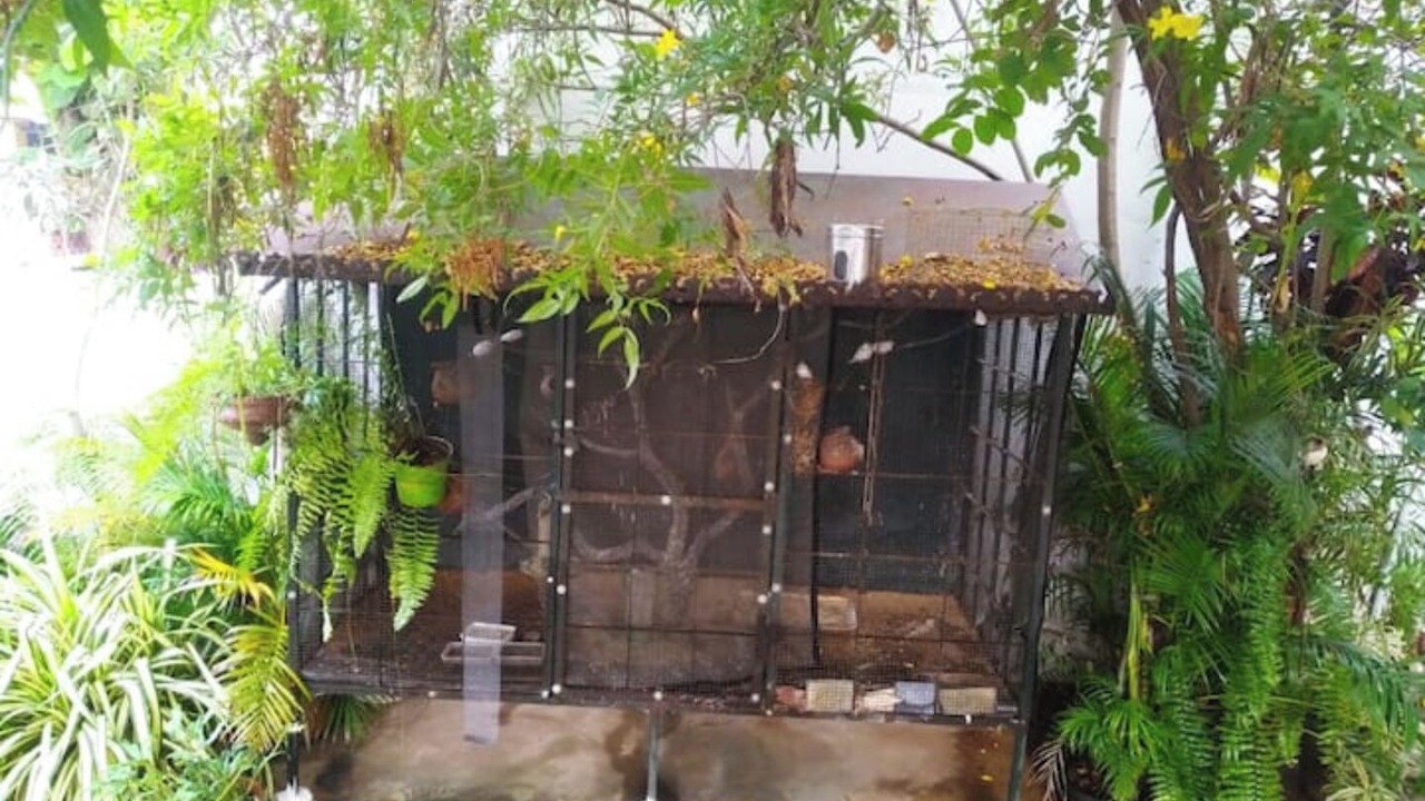 Photo of Outdoor in Palayankottai