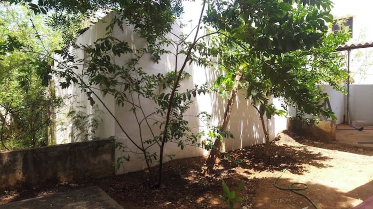 Photo of Outdoor in Palayankottai