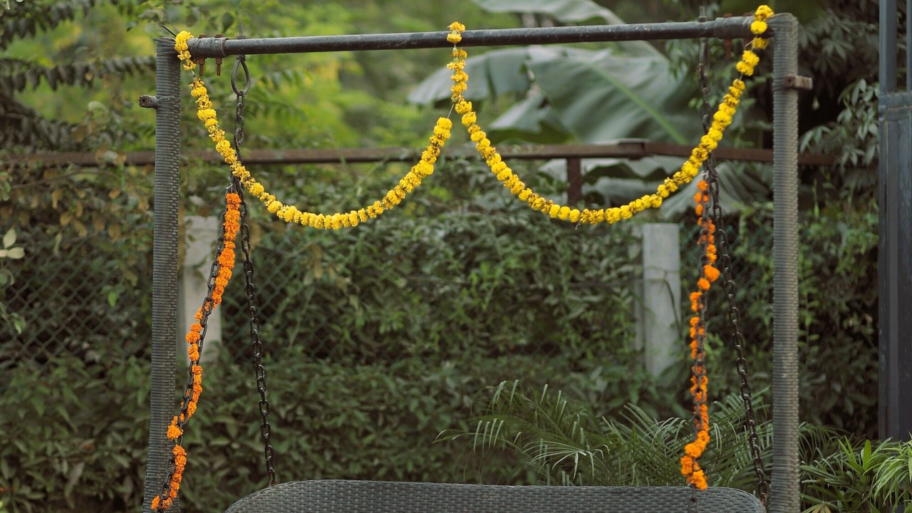 Photo of Outdoor in Noida
