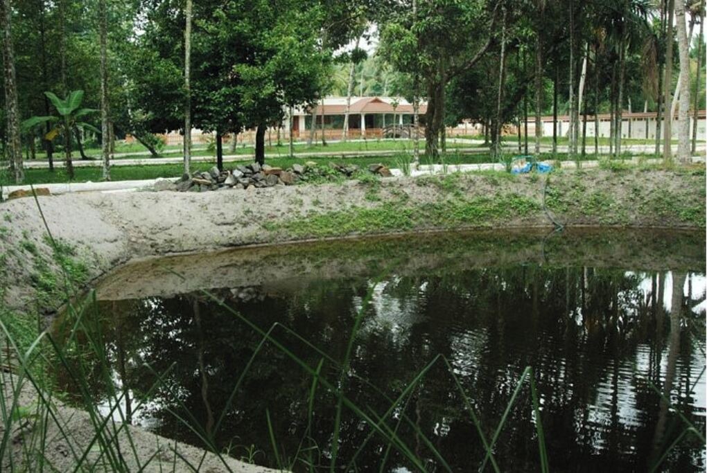 Photo of Outdoor in Vaikom