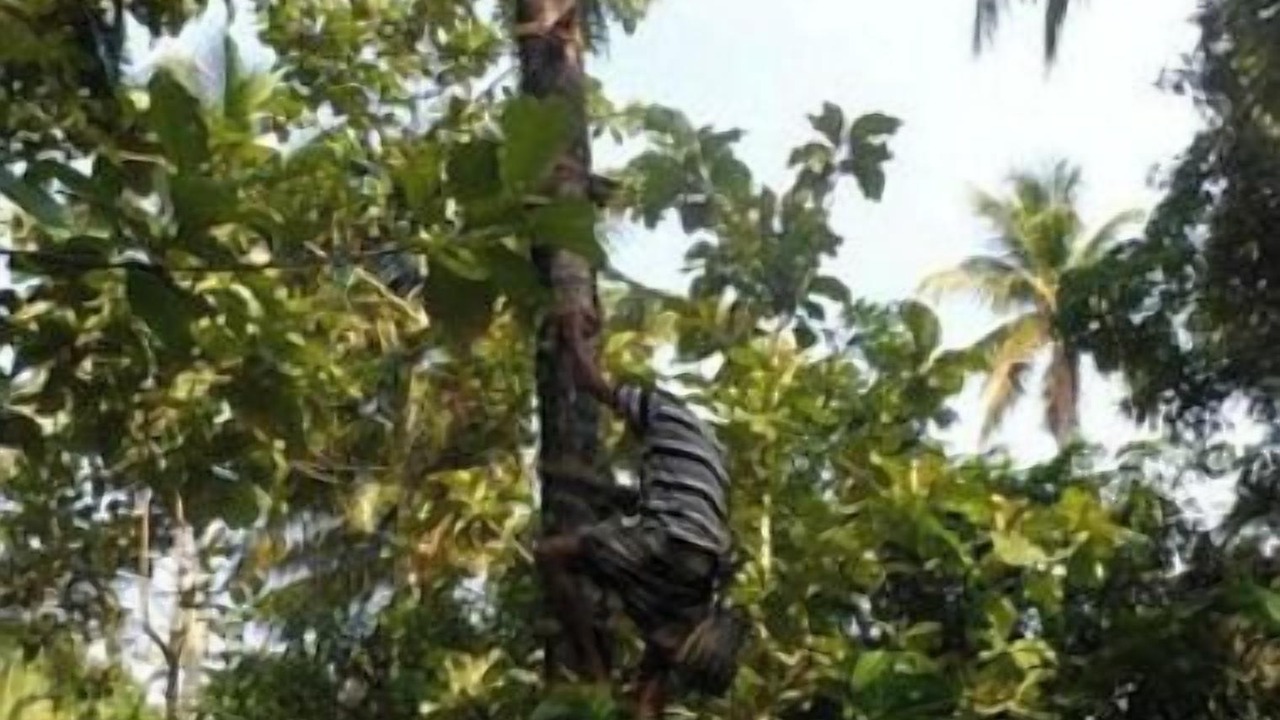 Photo of Others in Vaikom