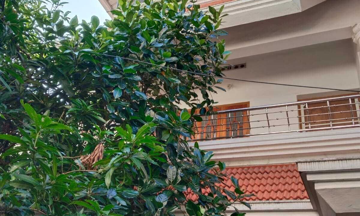 Photo of Outdoor in Angamali