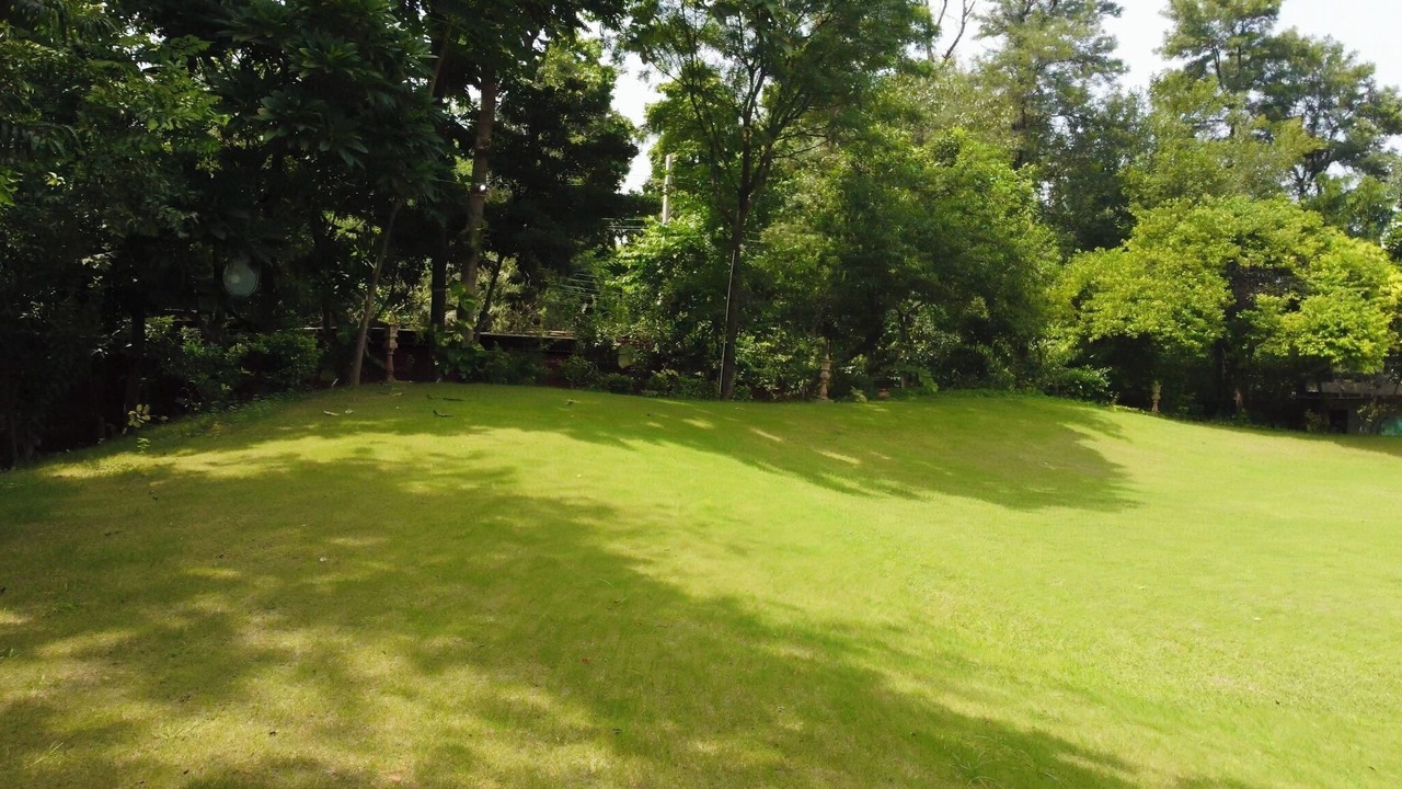 Photo of Outdoor in Bilaspur