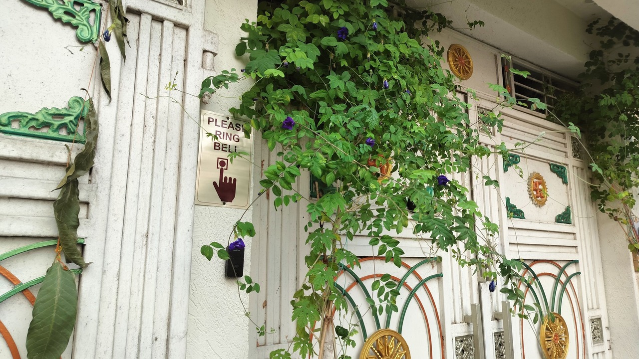 Photo of Outdoor in Bodh Gaya