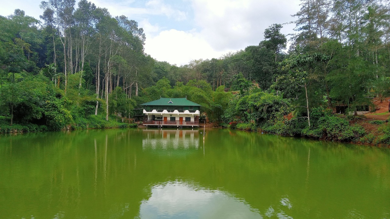 Photo of Outdoor in Nedumangad