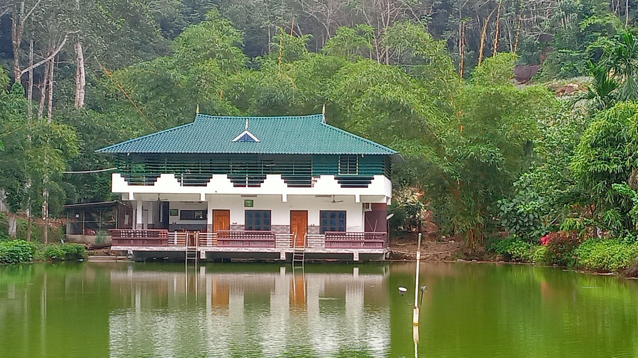 Photo of Outdoor in Nedumangad