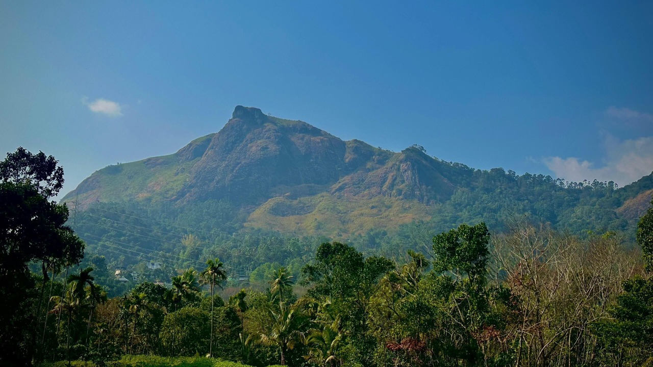 Photo of Others in Devikolam