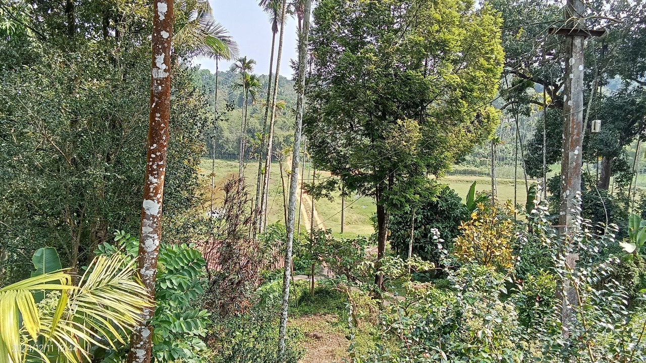 Photo of Others in Mananthavady