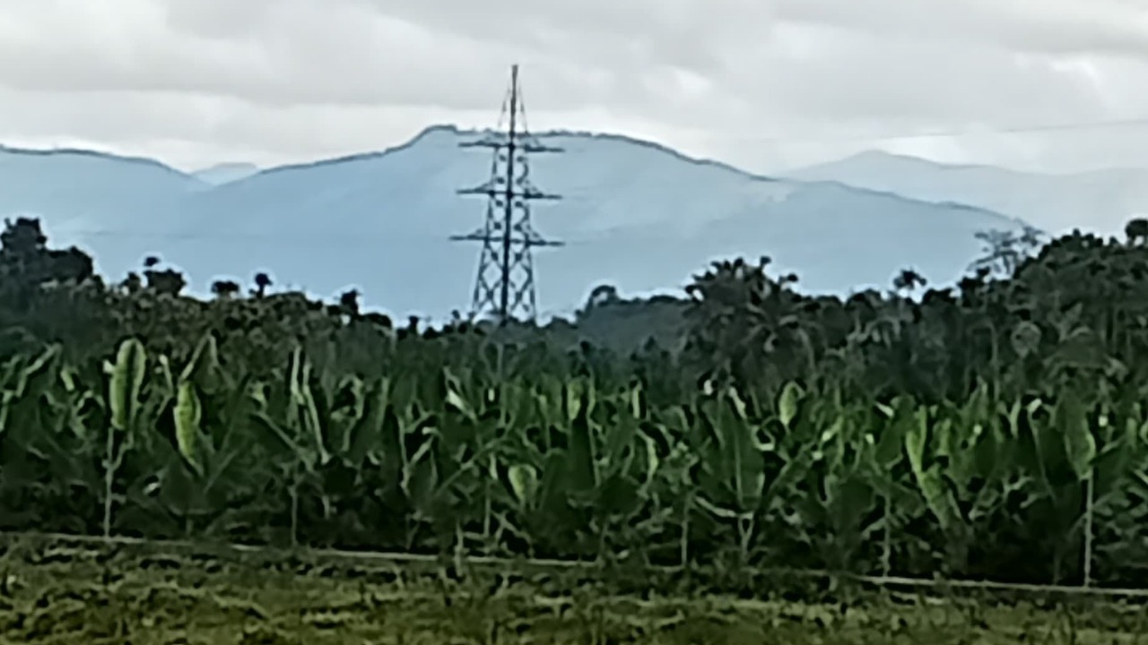 Photo of Others in Mananthavady