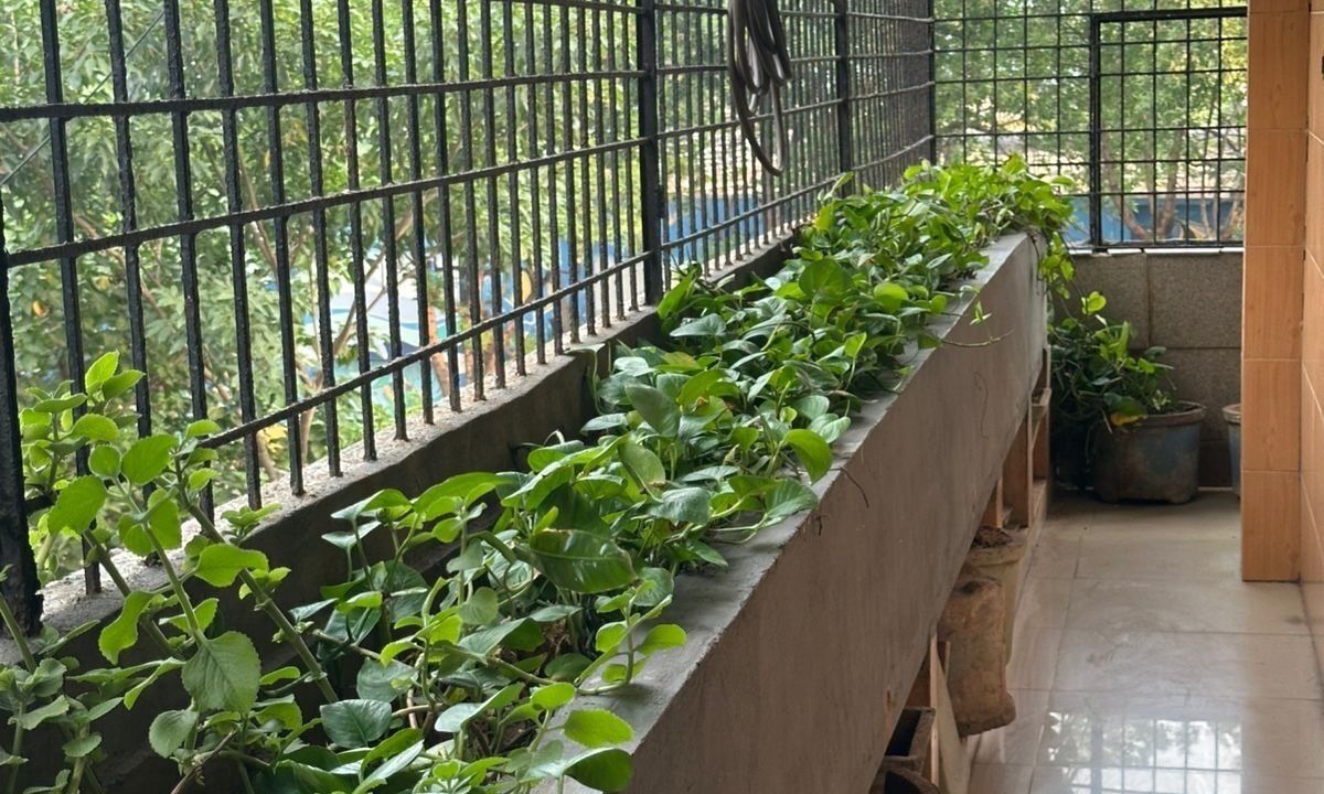 Photo of Outdoor in MVP Colony