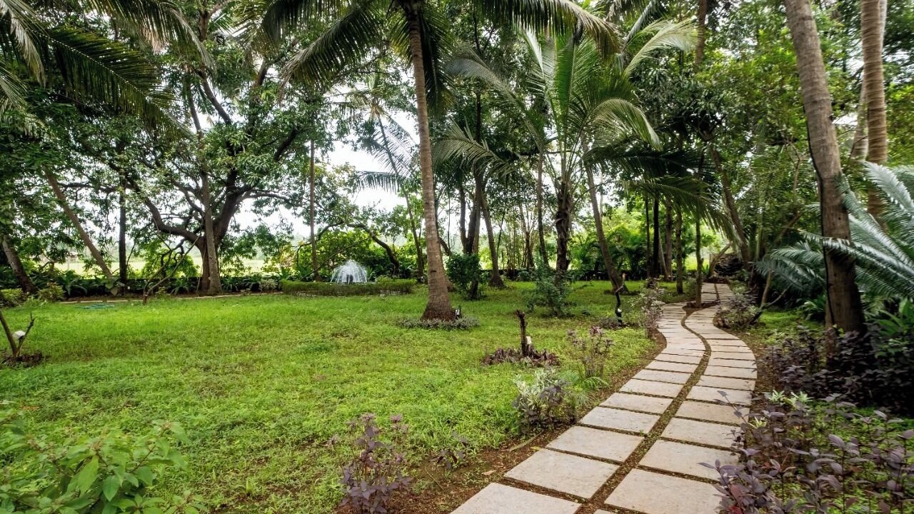 Photo of Outdoor in Cuncolim