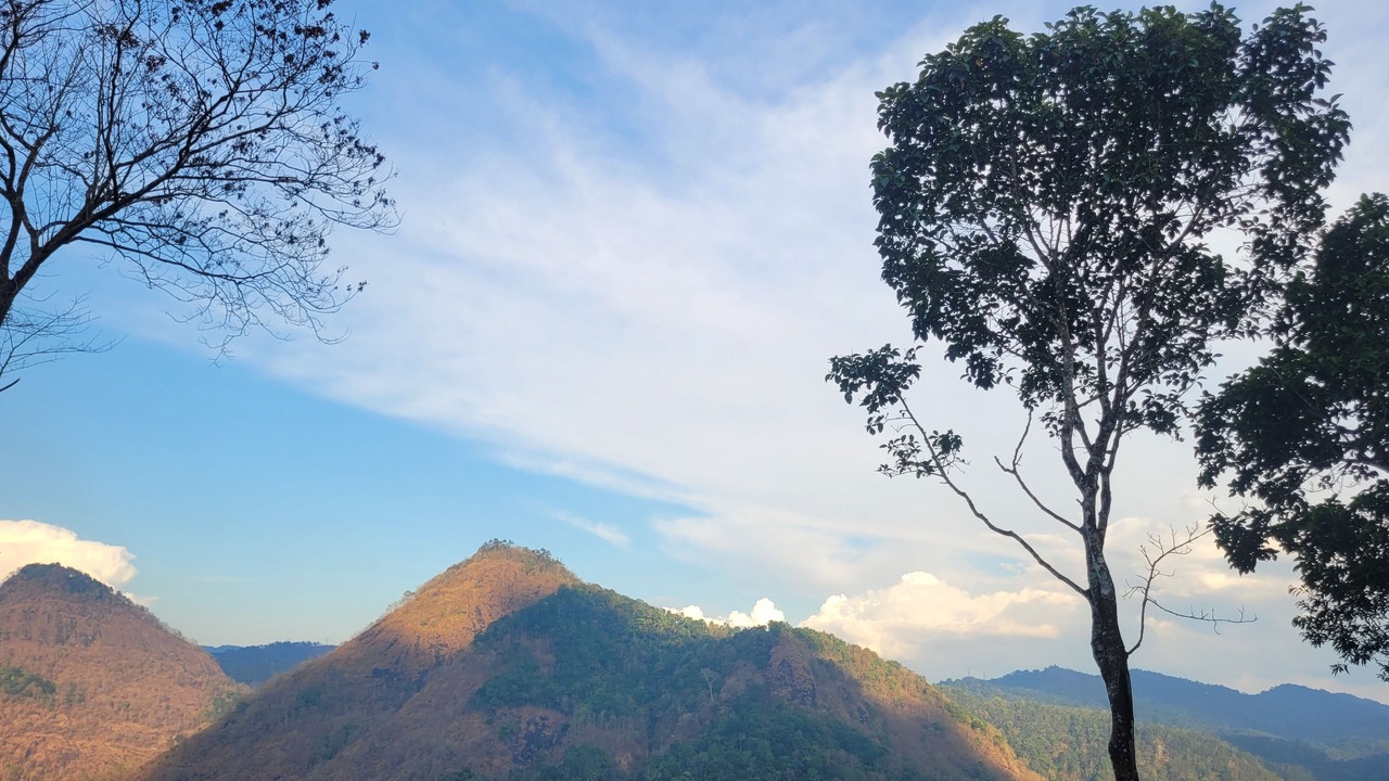 Photo of Others in Todupulai