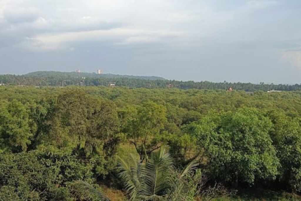 Photo of Others in Candolim