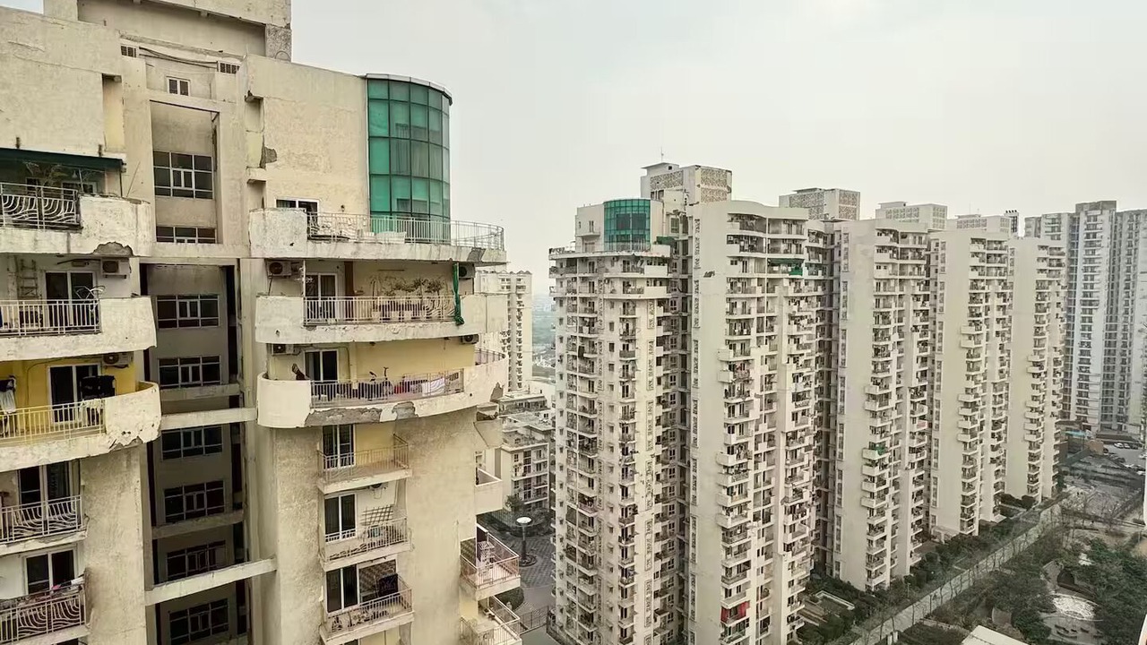 Photo of Outdoor in Noida