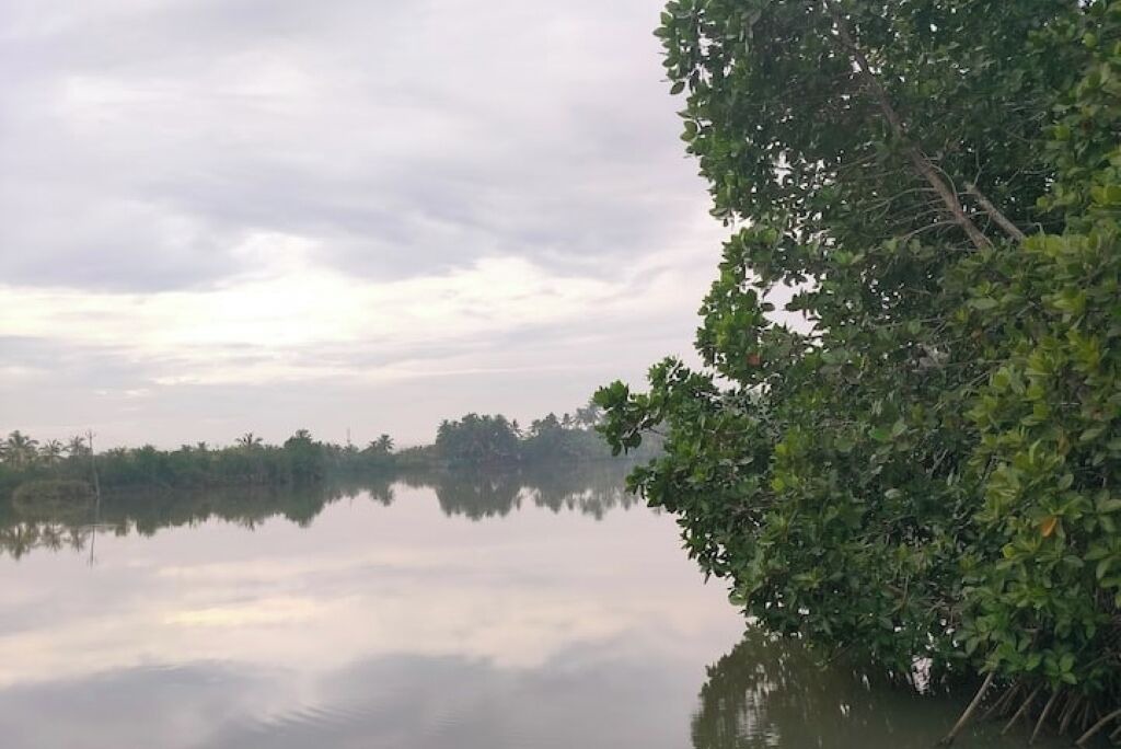 Photo of Others in Munroe Island