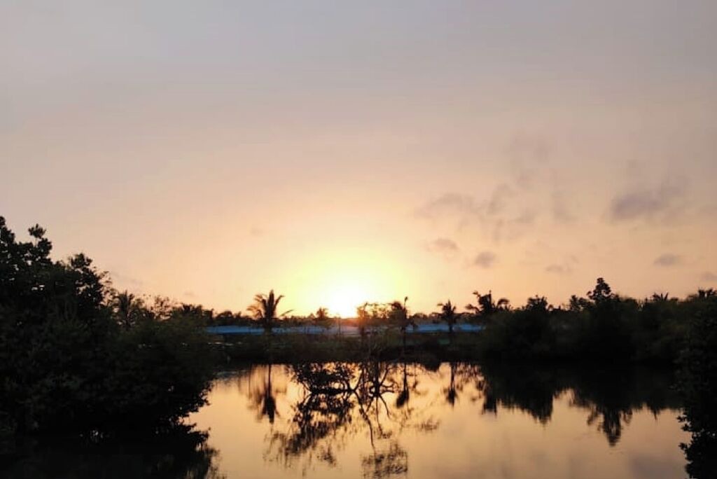 Photo of Others in Munroe Island