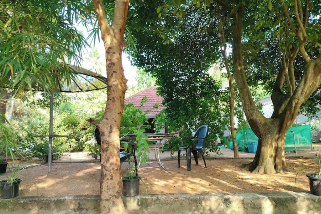 Photo of Outdoor in Munroe Island