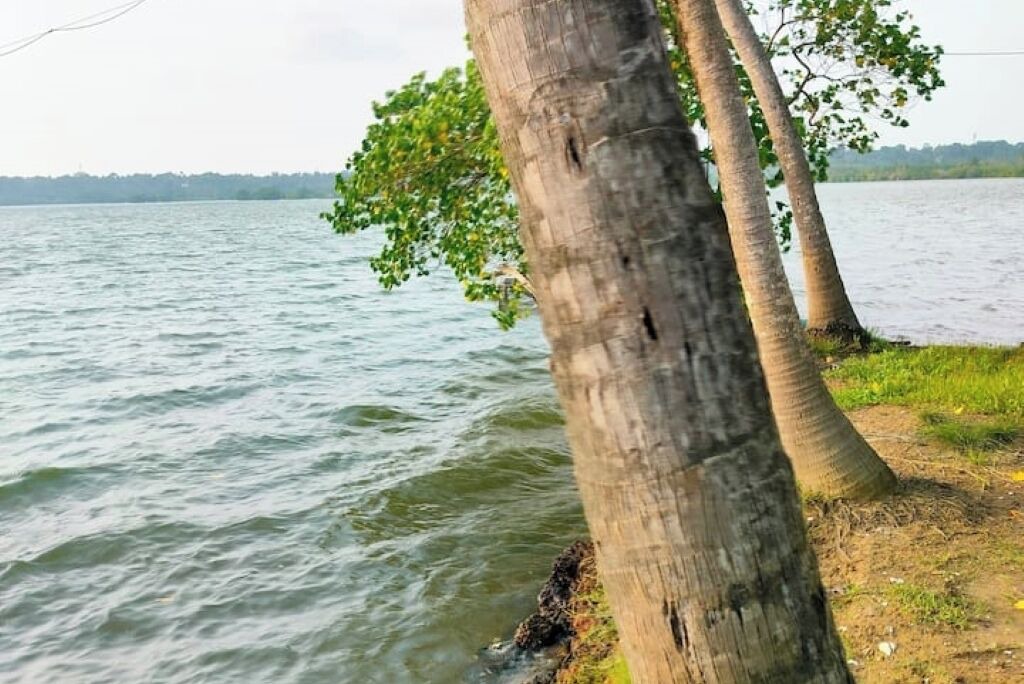Photo of Others in Munroe Island