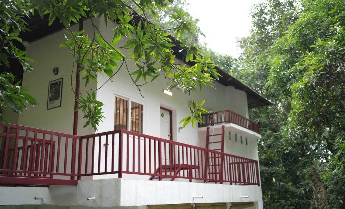 Photo of Outdoor in Todupulai