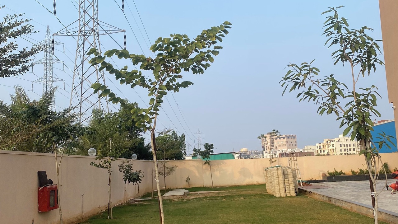 Photo of Outdoor in Sanganer