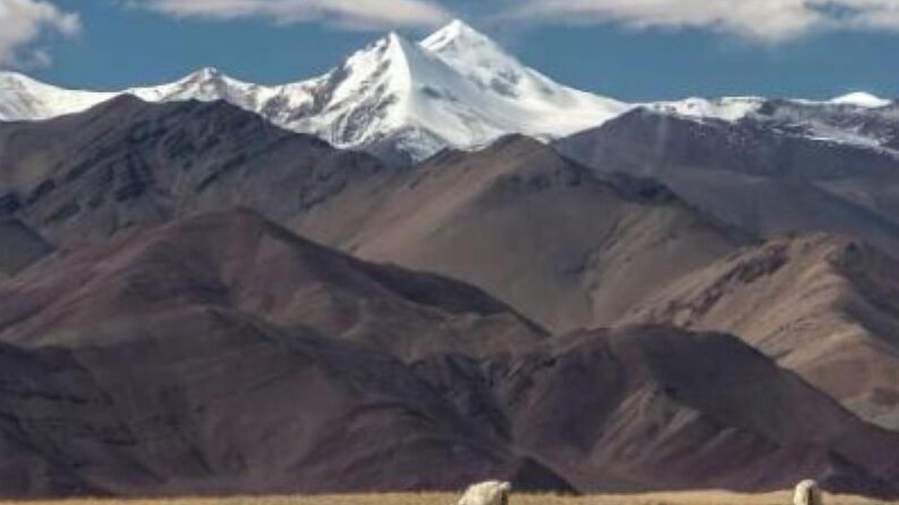 Photo of Others in Leh