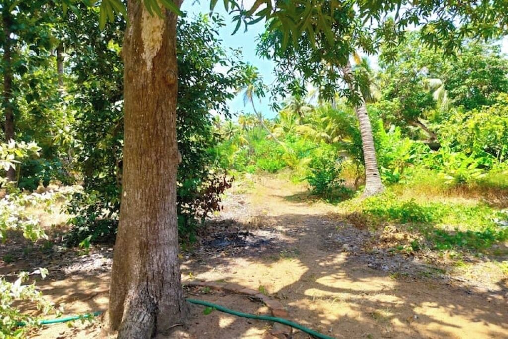 Photo of Others in Munroe Island