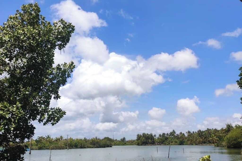 Photo of Others in Munroe Island