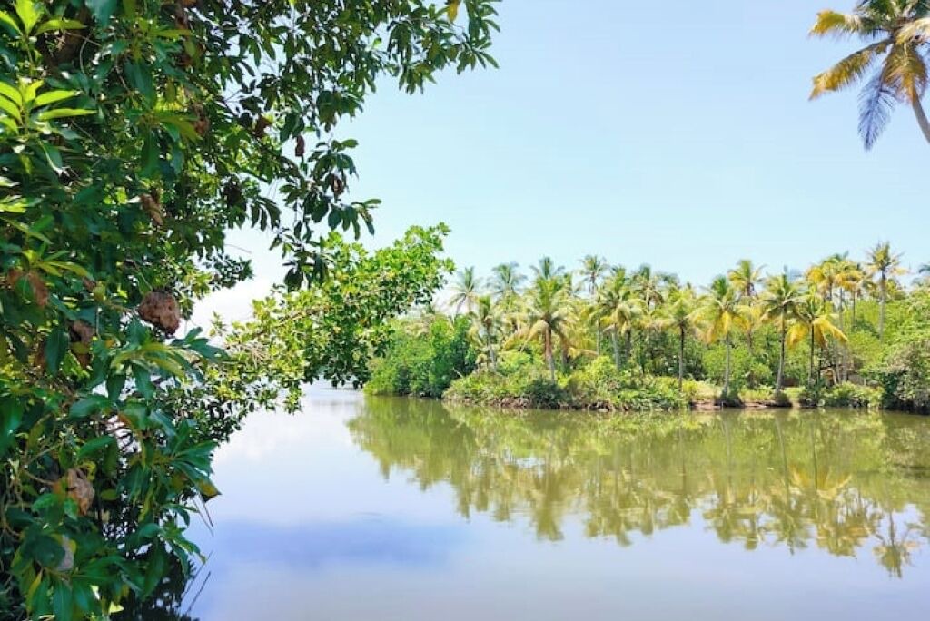 Photo of Others in Munroe Island