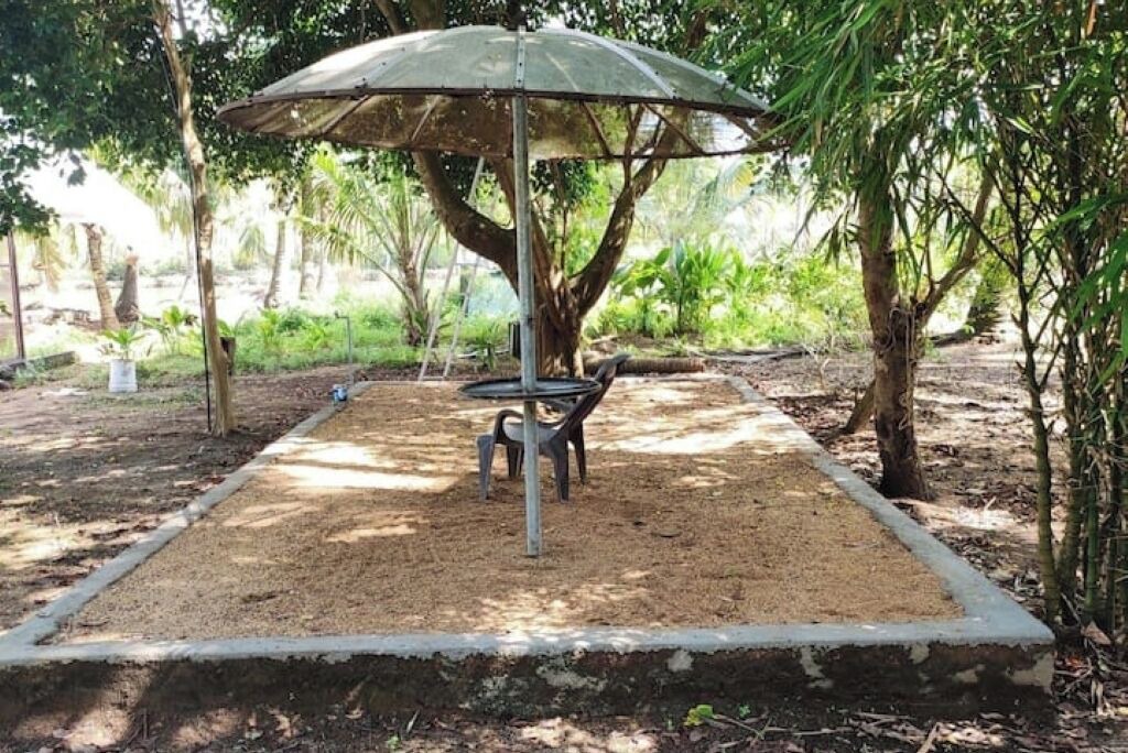 Photo of Outdoor in Munroe Island