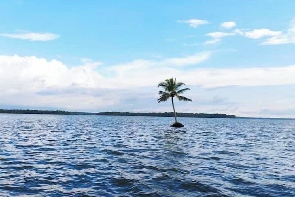 Photo of Others in Munroe Island