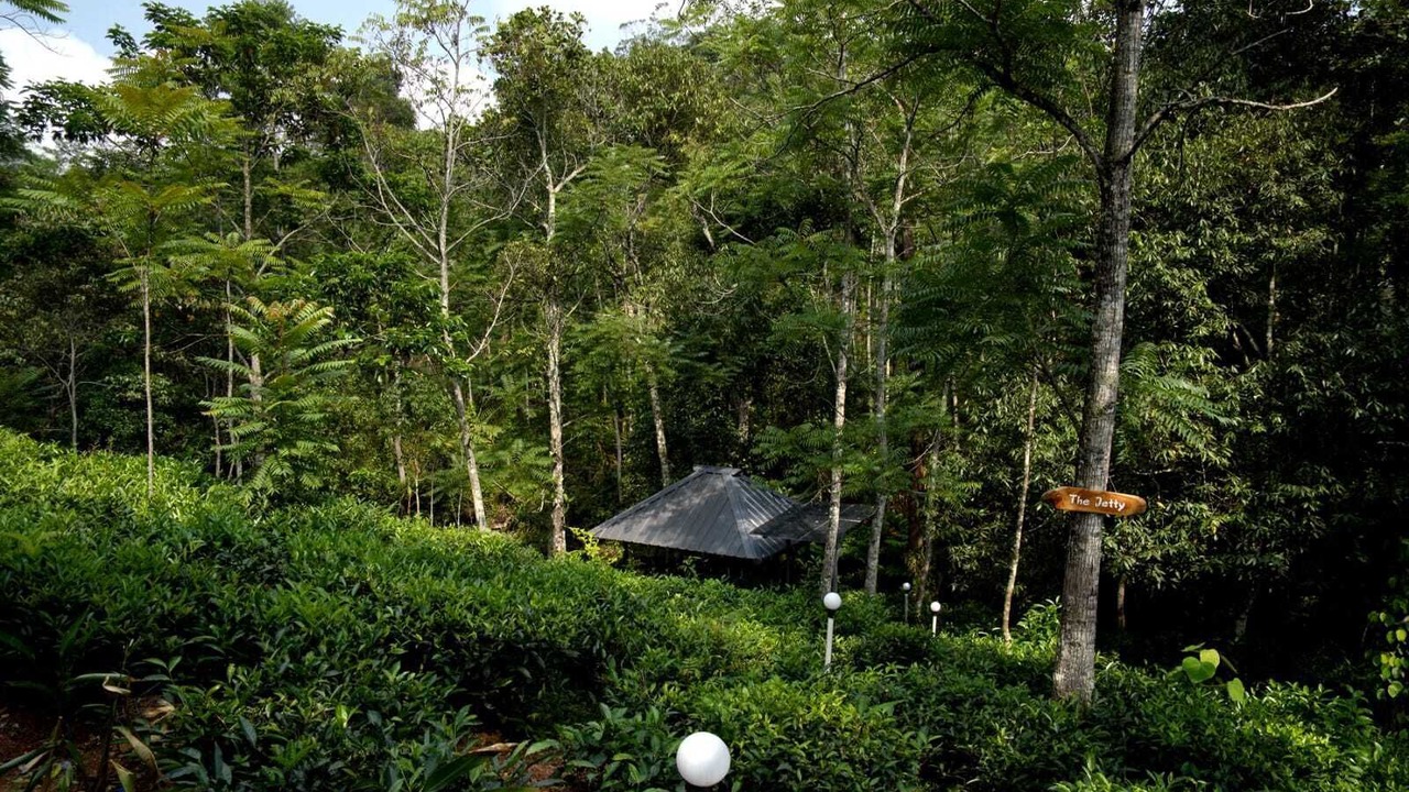 Photo of Outdoor in Peermade