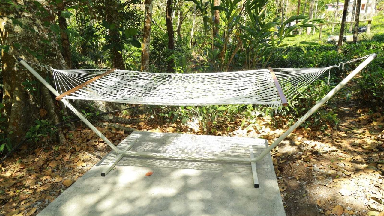 Photo of Outdoor in Peermade