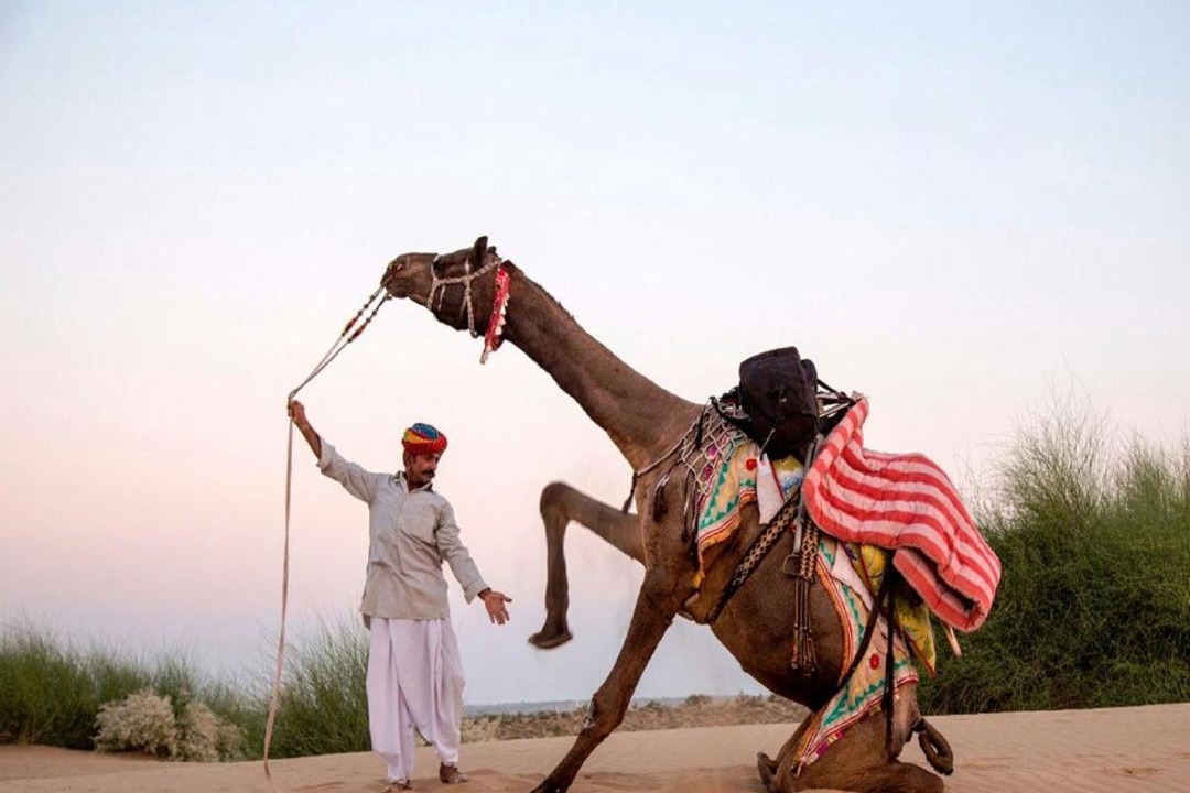 Photo of Human In Picture in Jaisalmer