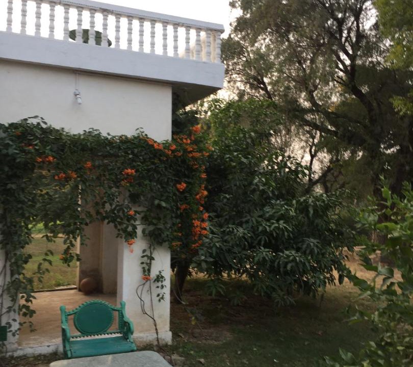 Photo of Others in Jaipur
