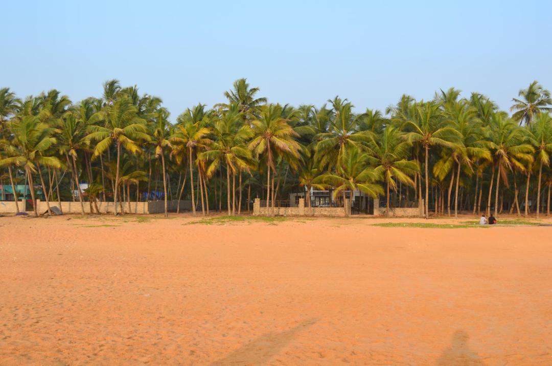 Photo of Outdoor in Puthenthope