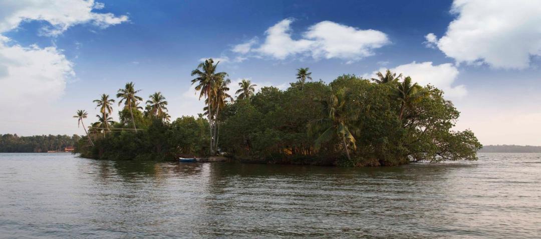 Photo of Others in Munroe Island