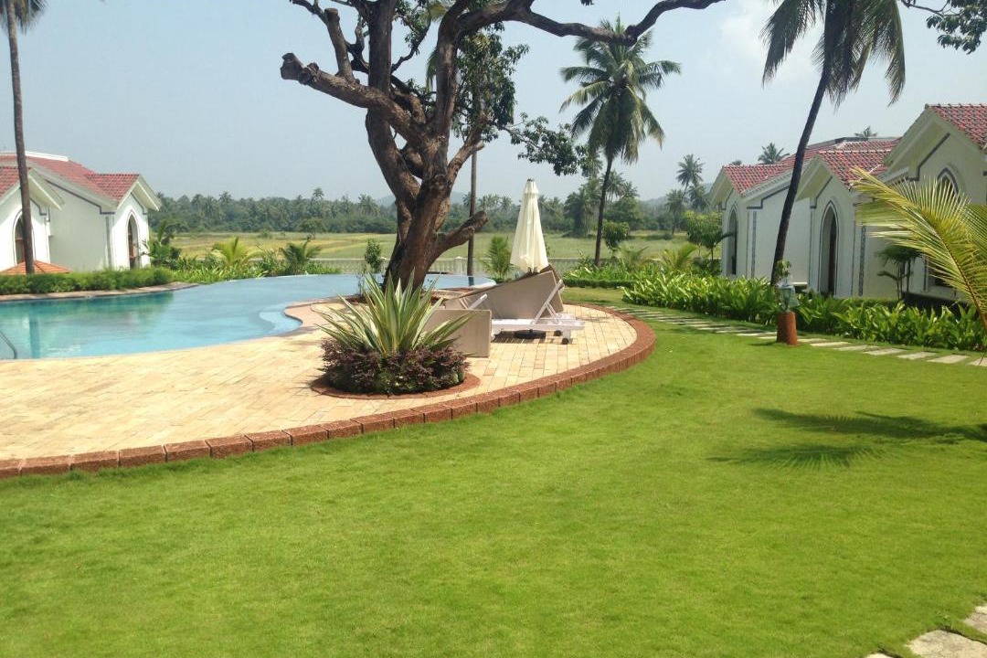 Photo of Outdoor in Siolim