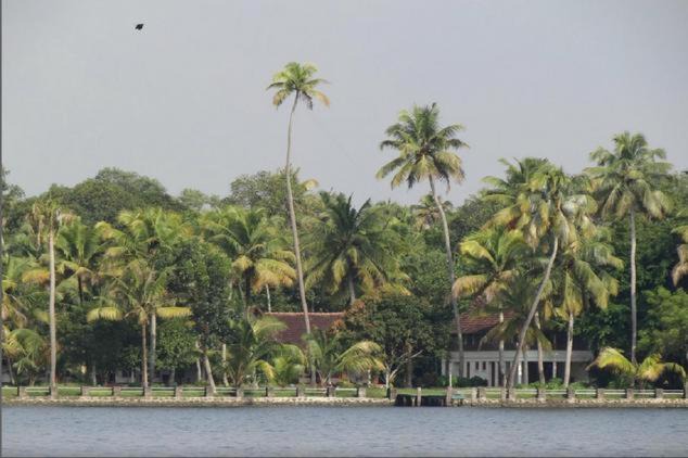 Photo of Outdoor in Muhamma