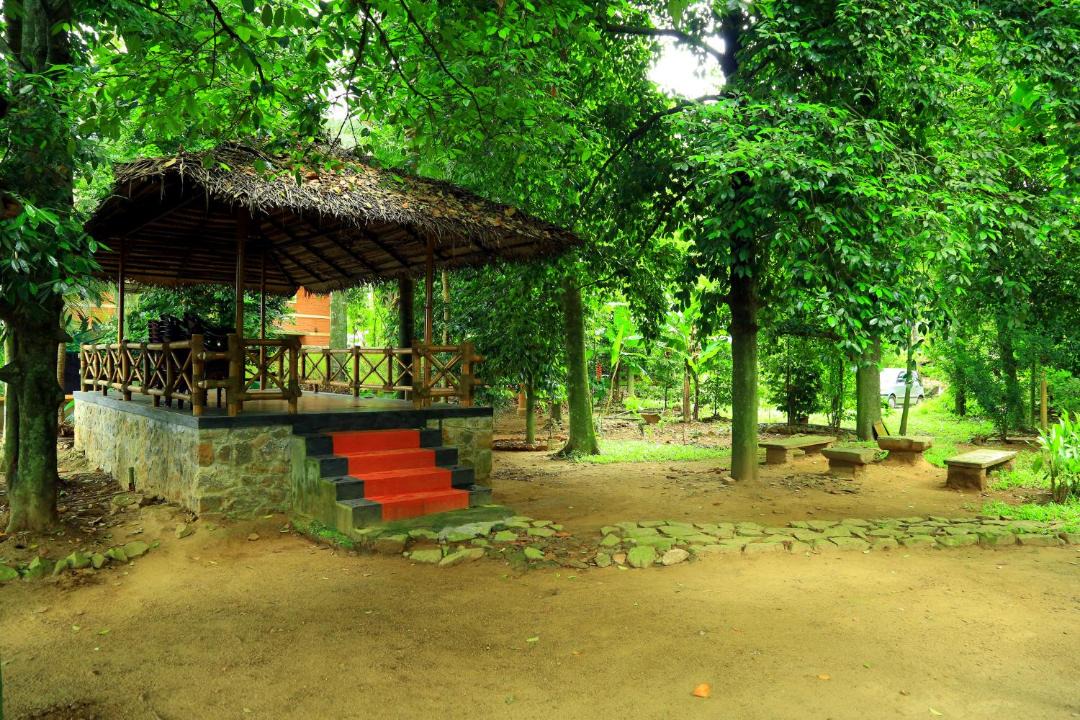 Photo of Others in Aranmula
