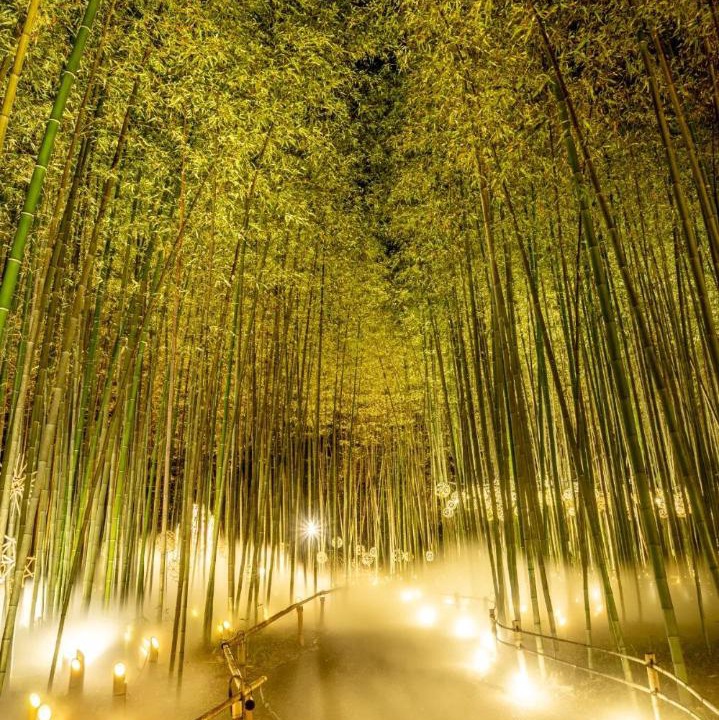 Photo of Others in Arashiyama