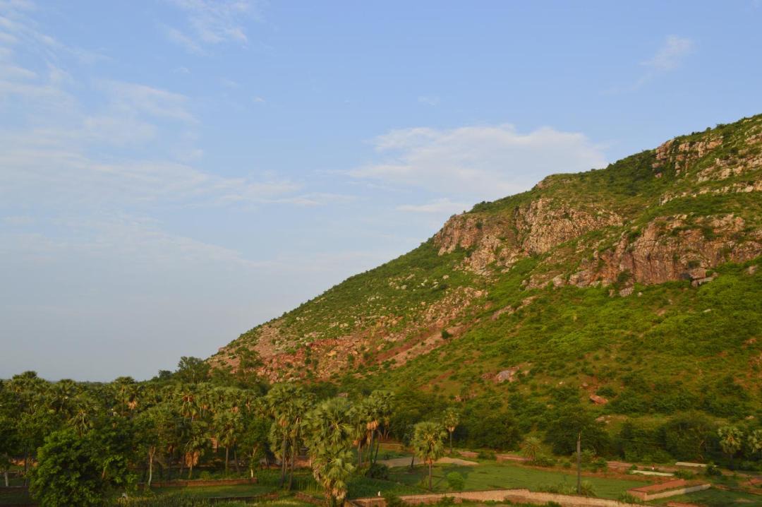 Photo of Others in Rajgir